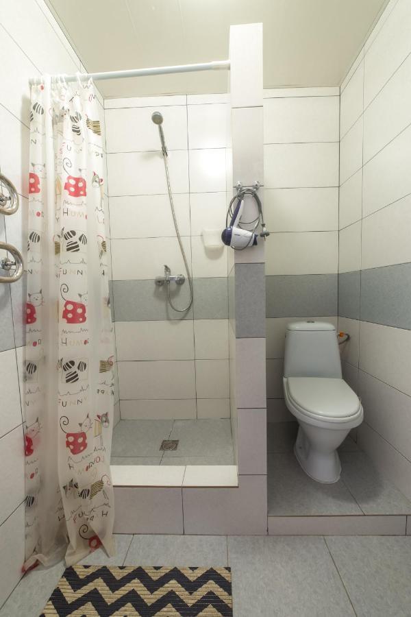 Villa Zhanna Central Park Truskavets Dış mekan fotoğraf